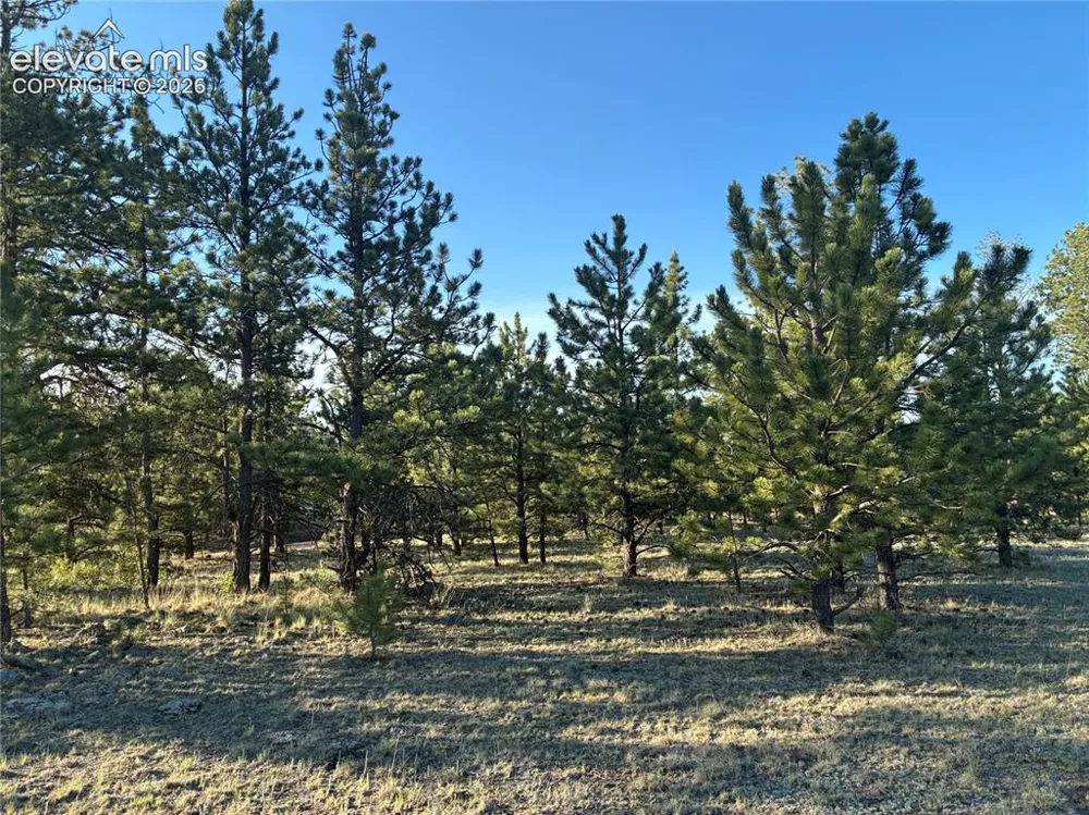 tbd Doe Valley Road Guffey, CO 80820