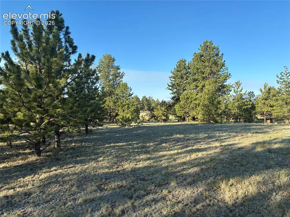 tbd Doe Valley Road Guffey, CO 80820