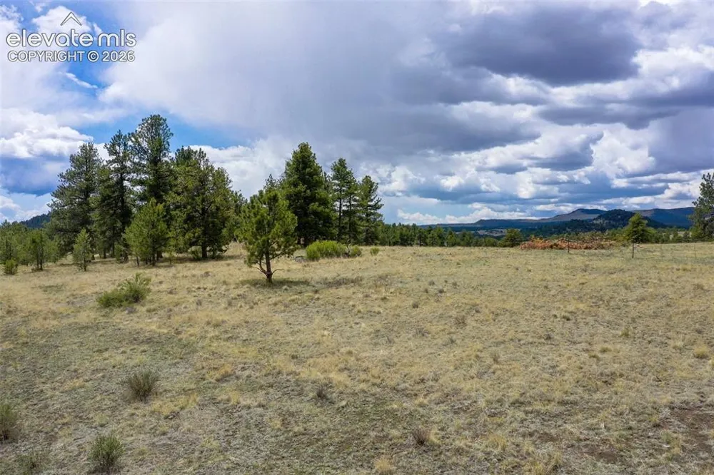 tbd Doe Valley Road Guffey, CO 80820