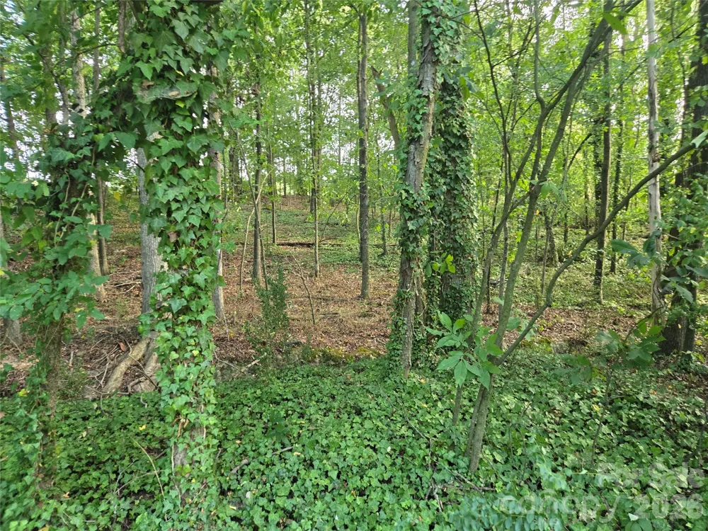 3904 Lucy Shortcut Road Marshville, NC 28103