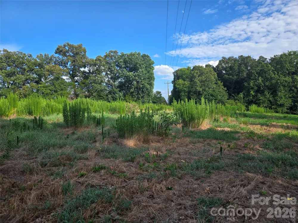 3904 Lucy Shortcut Road Marshville, NC 28103