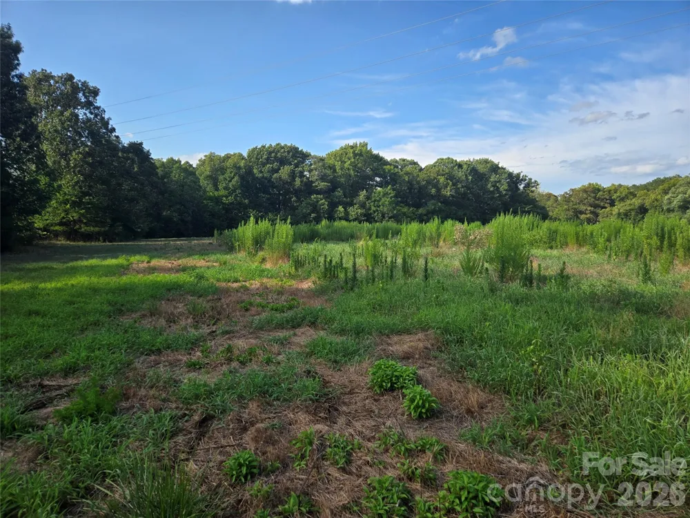 3904 Lucy Shortcut Road Marshville, NC 28103