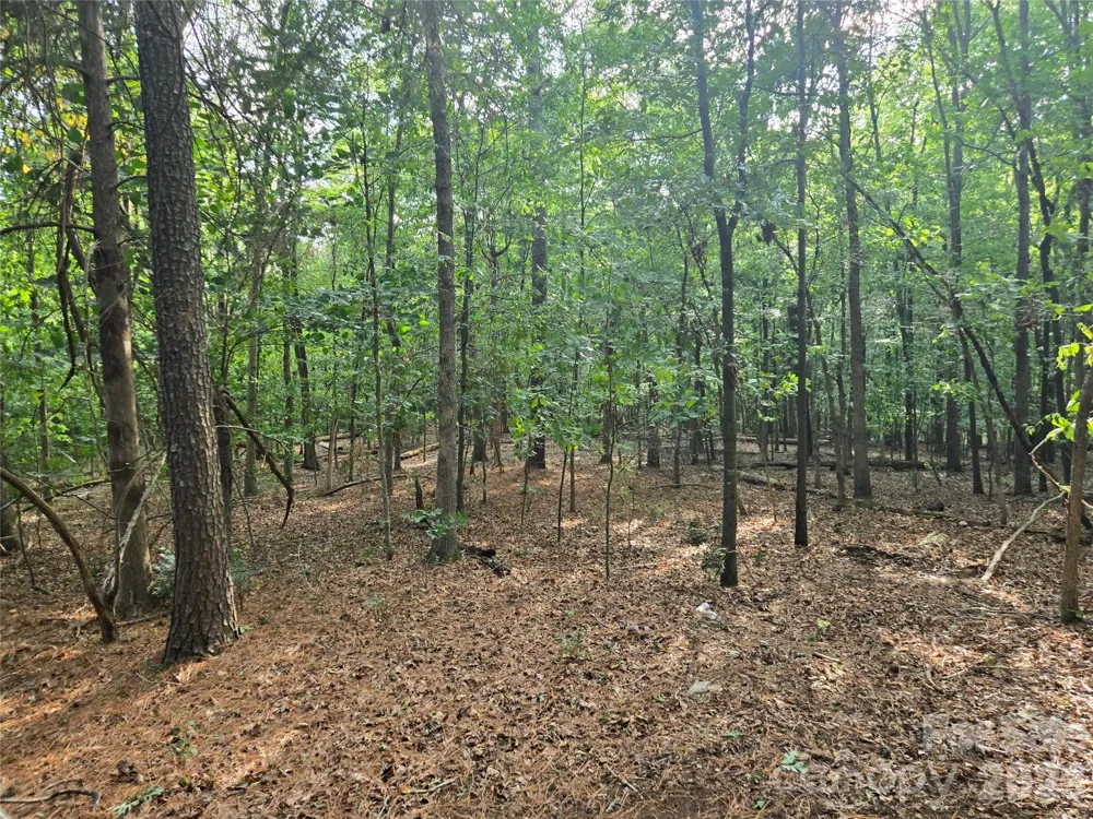 3904 Lucy Shortcut Road Marshville, NC 28103
