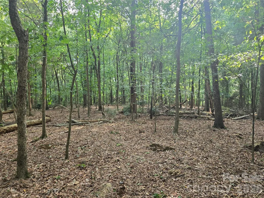 3904 Lucy Shortcut Road Marshville, NC 28103