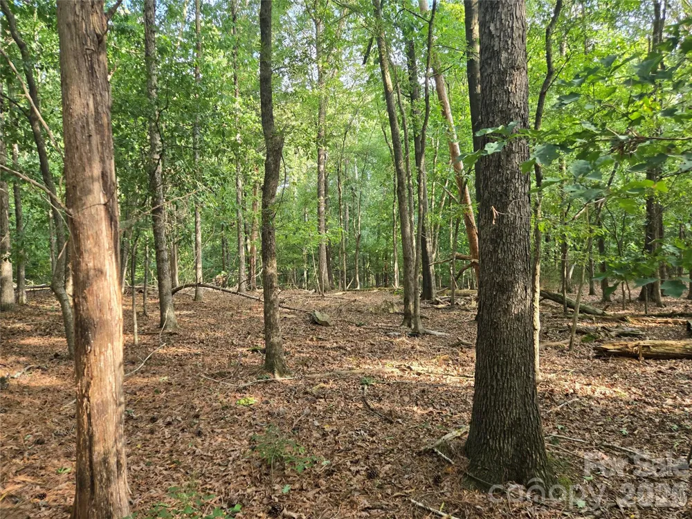 3904 Lucy Shortcut Road Marshville, NC 28103