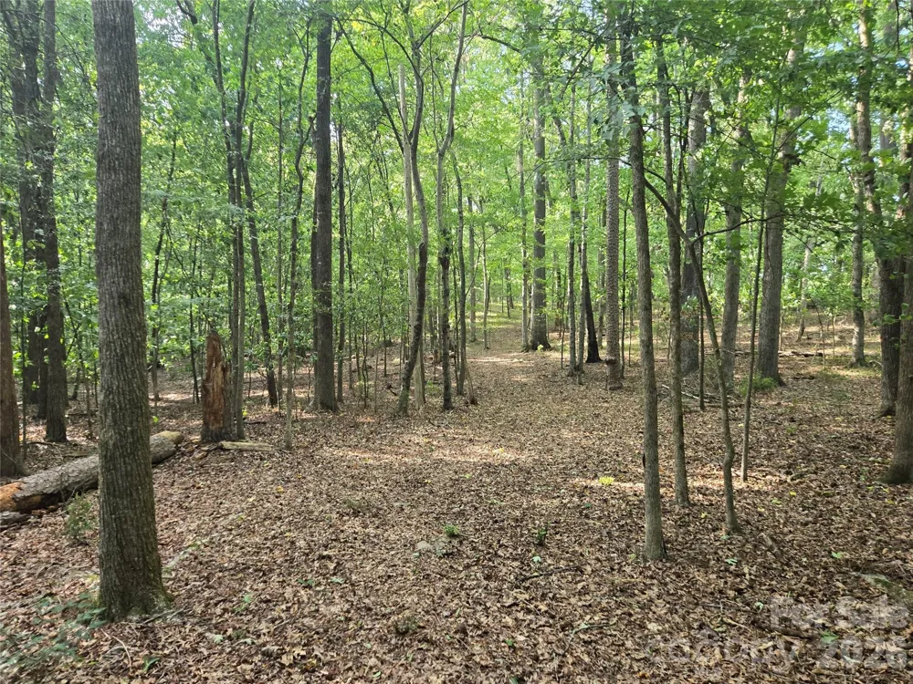 3904 Lucy Shortcut Road Marshville, NC 28103