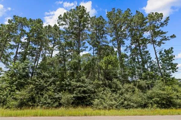 19263 Purus Drive Porter, TX 77365