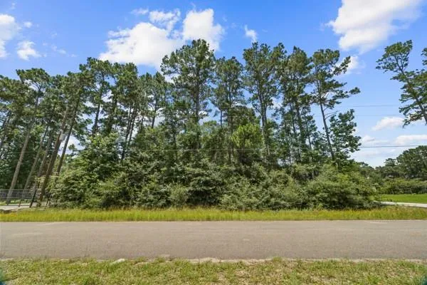 19263 Purus Drive Porter, TX 77365