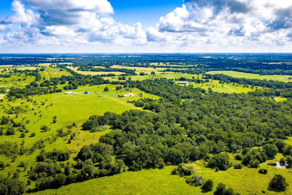 6559 Highway 21 W Madisonville, TX 77864