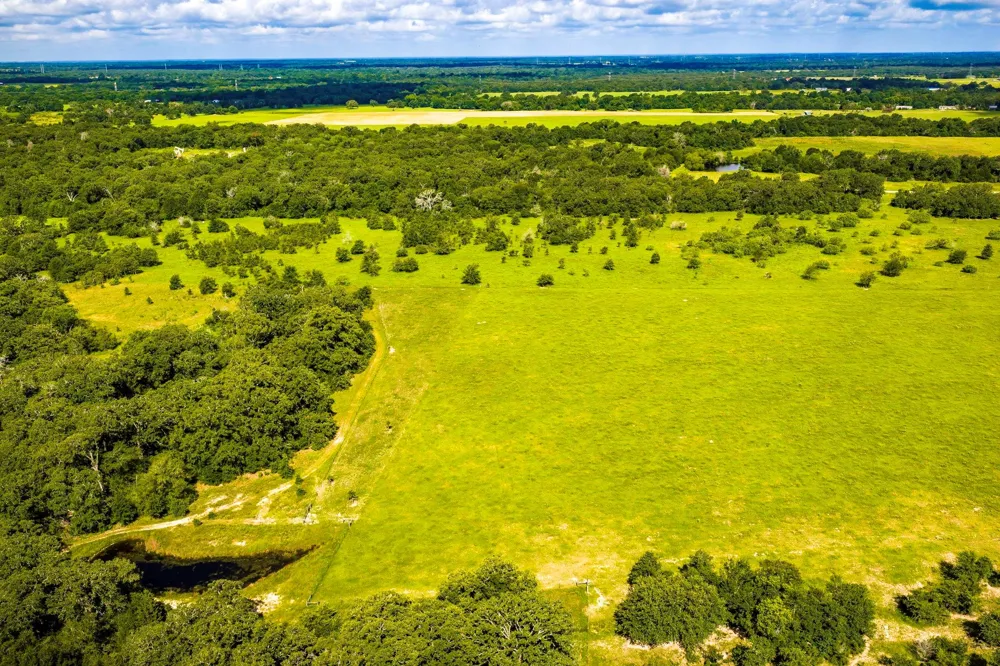 6559 Highway 21 W Madisonville, TX 77864