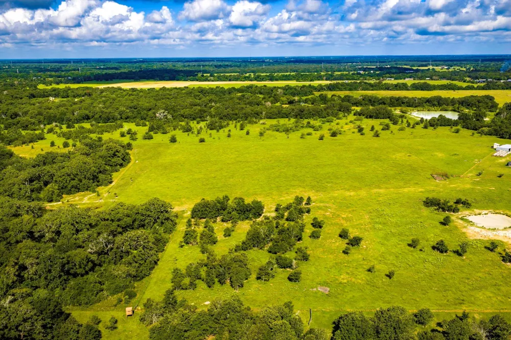6559 Highway 21 W Madisonville, TX 77864