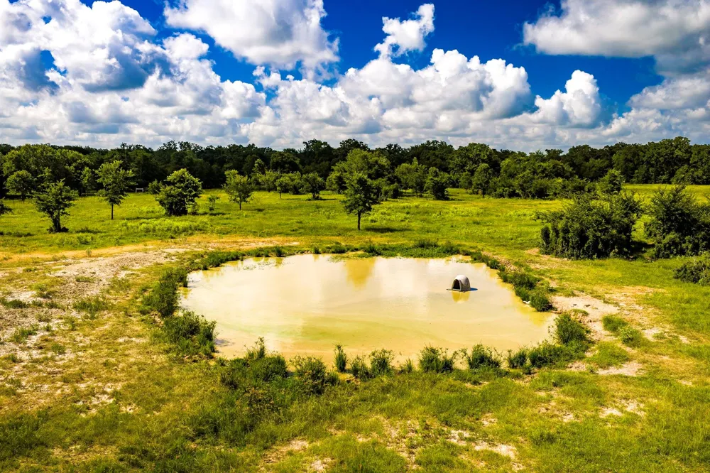 6559 Highway 21 W Madisonville, TX 77864