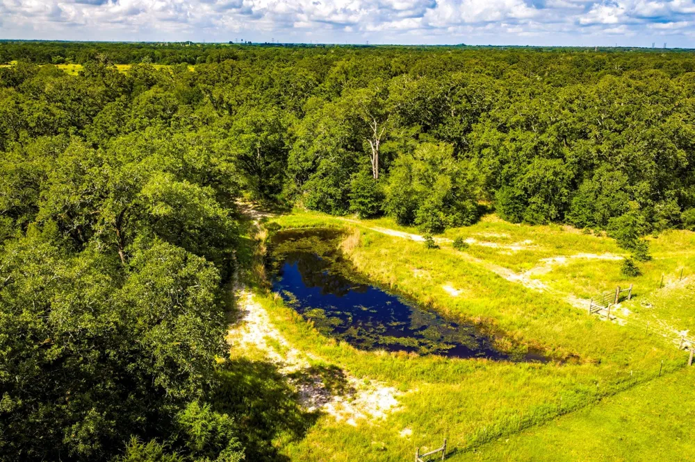 6559 Highway 21 W Madisonville, TX 77864