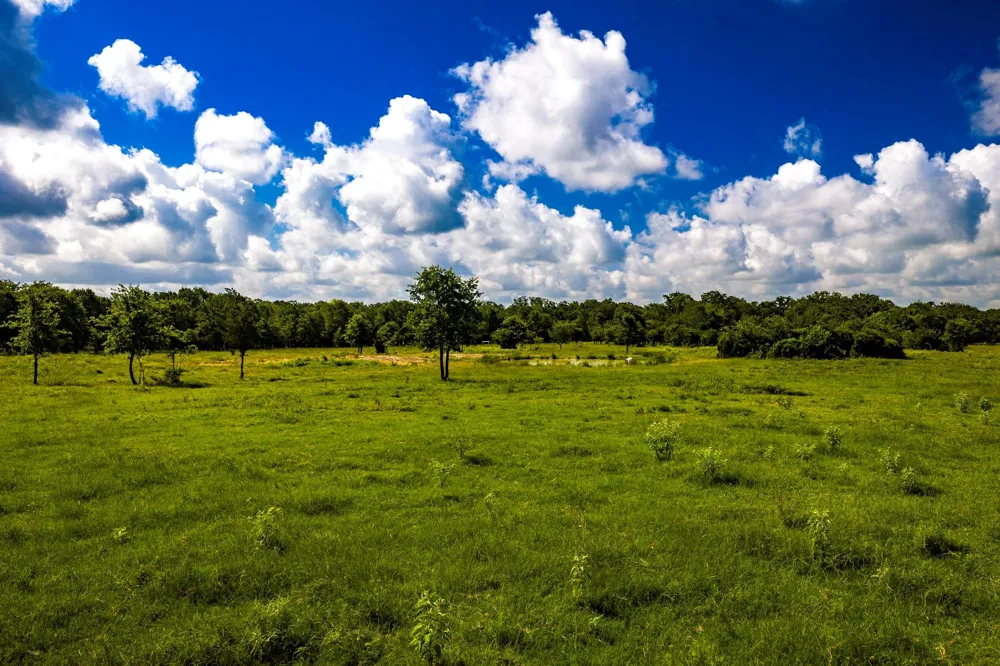6559 Highway 21 W Madisonville, TX 77864
