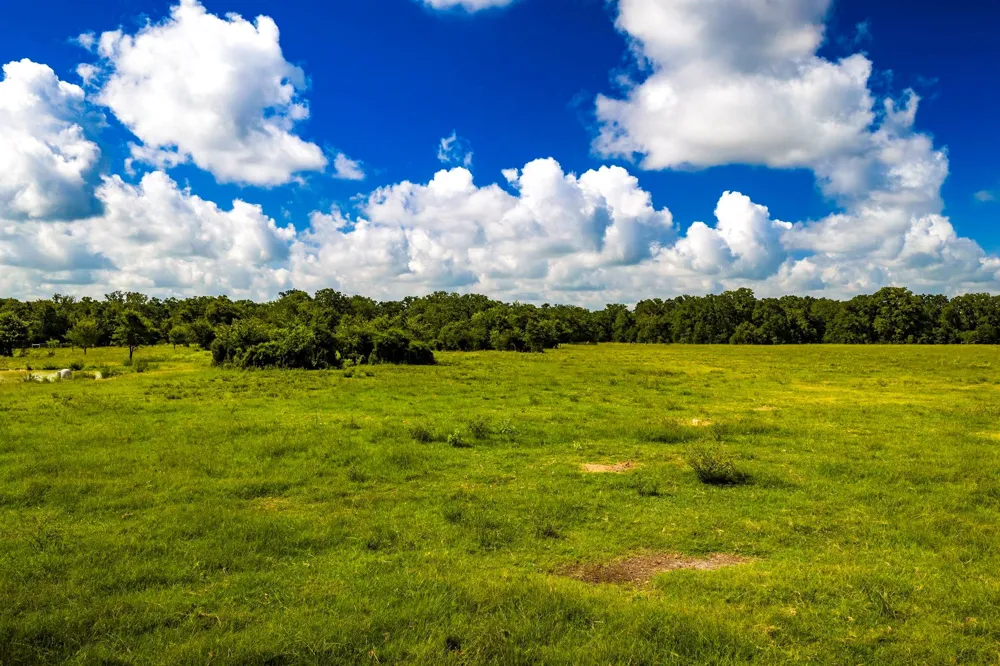 6559 Highway 21 W Madisonville, TX 77864