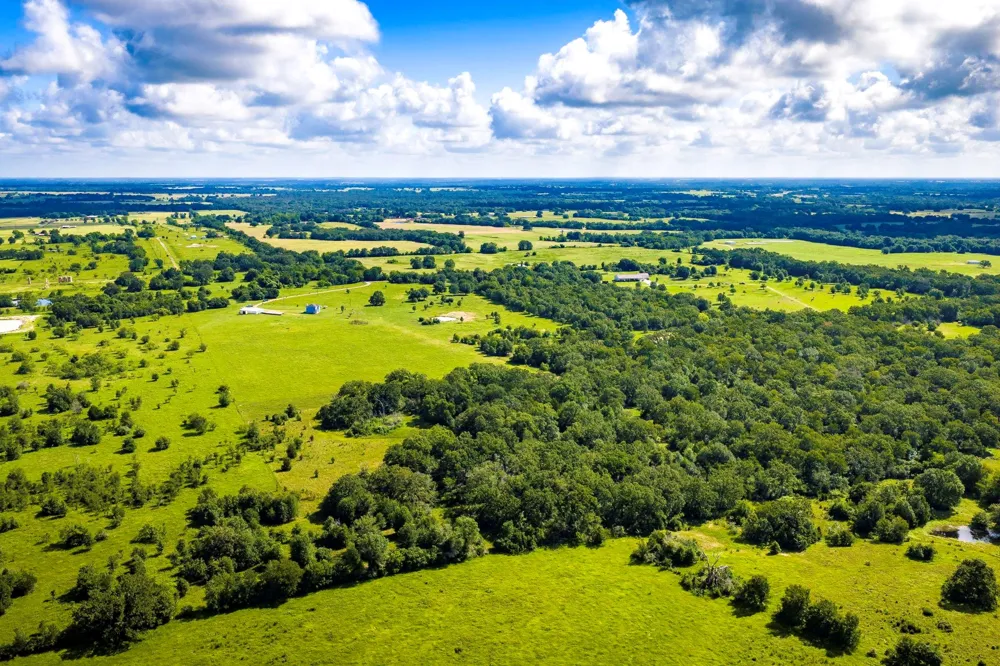 6559 Highway 21 W Madisonville, TX 77864