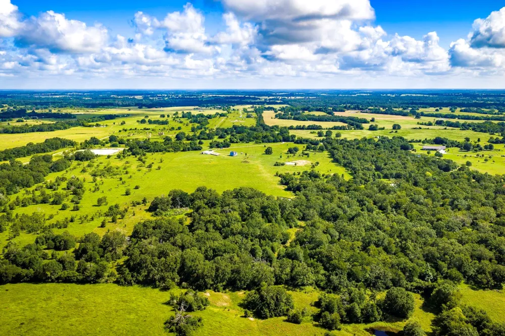6559 Highway 21 W Madisonville, TX 77864