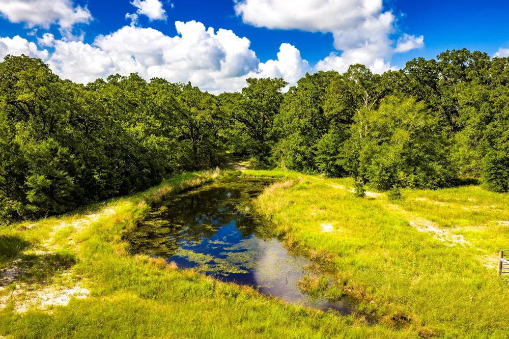 6559 Highway 21 W Madisonville, TX 77864