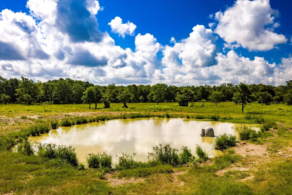 6559 Highway 21 W Madisonville, TX 77864