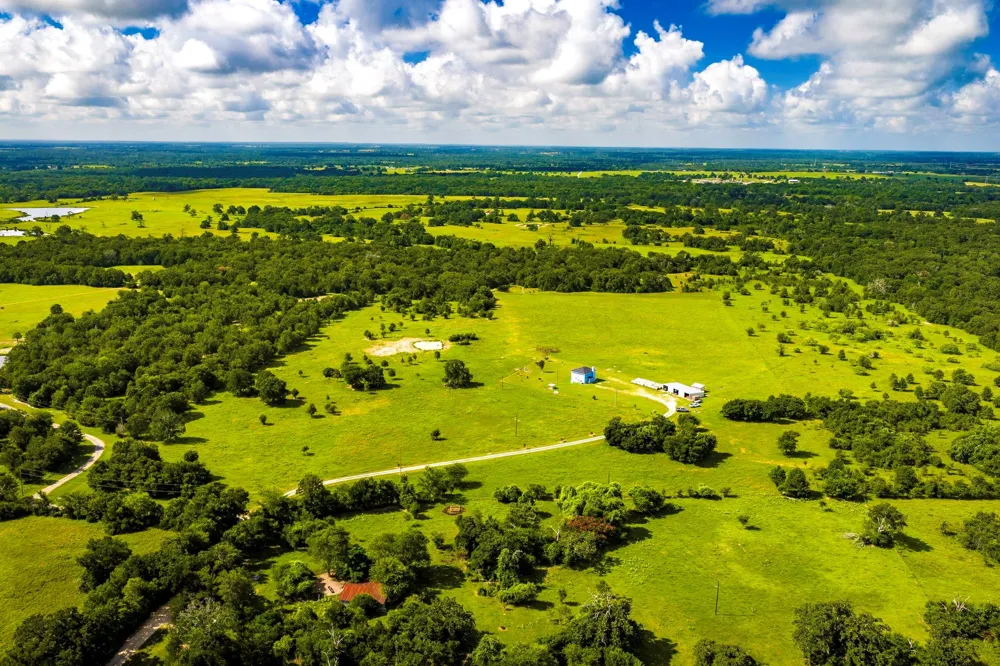 6559 Highway 21 W Madisonville, TX 77864
