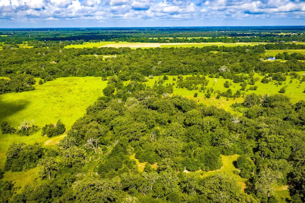 6559 Highway 21 W Madisonville, TX 77864