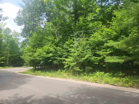 Birch View Trail