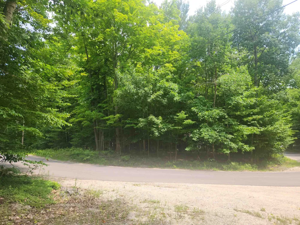 Birch View Trail Almira Township, MI 49650