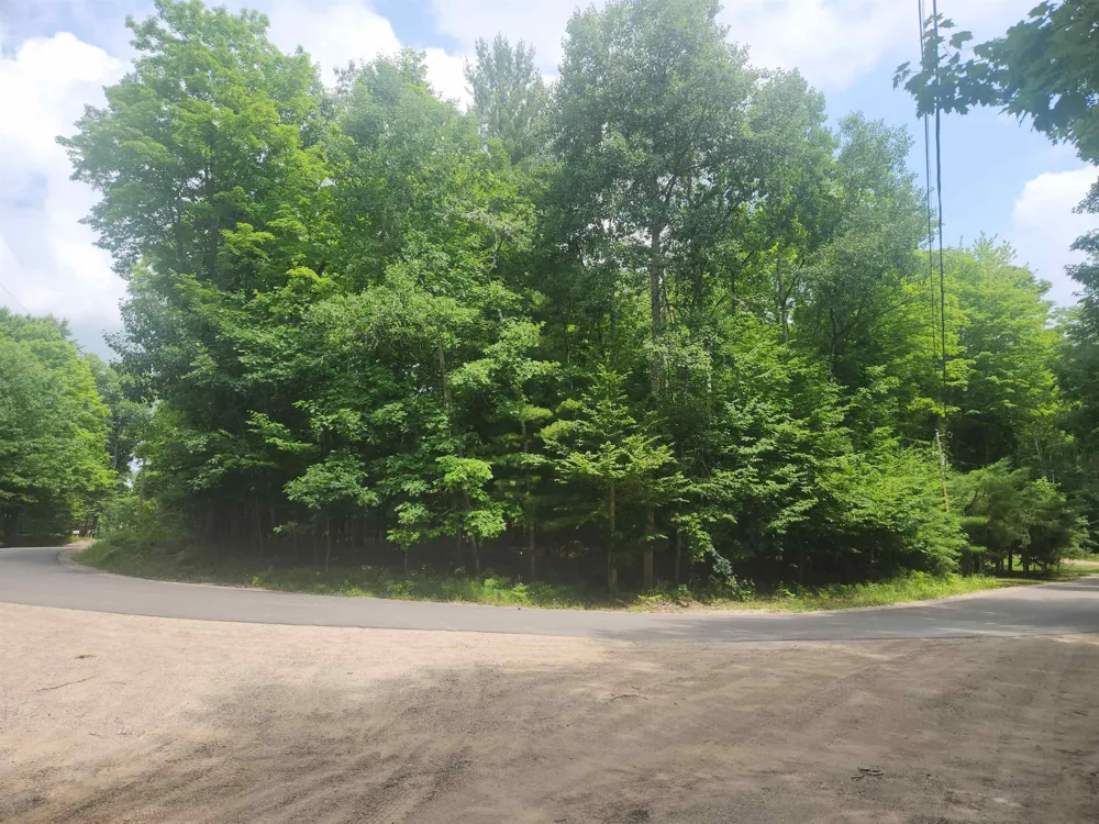 Birch View Trail Almira Township, MI 49650