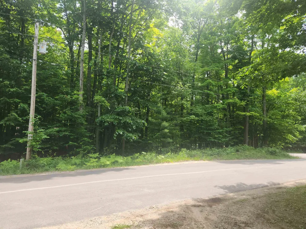 Birch View Trail Almira Township, MI 49650