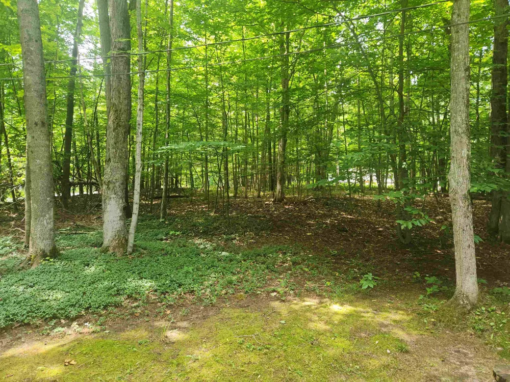 Birch View Trail Almira Township, MI 49650