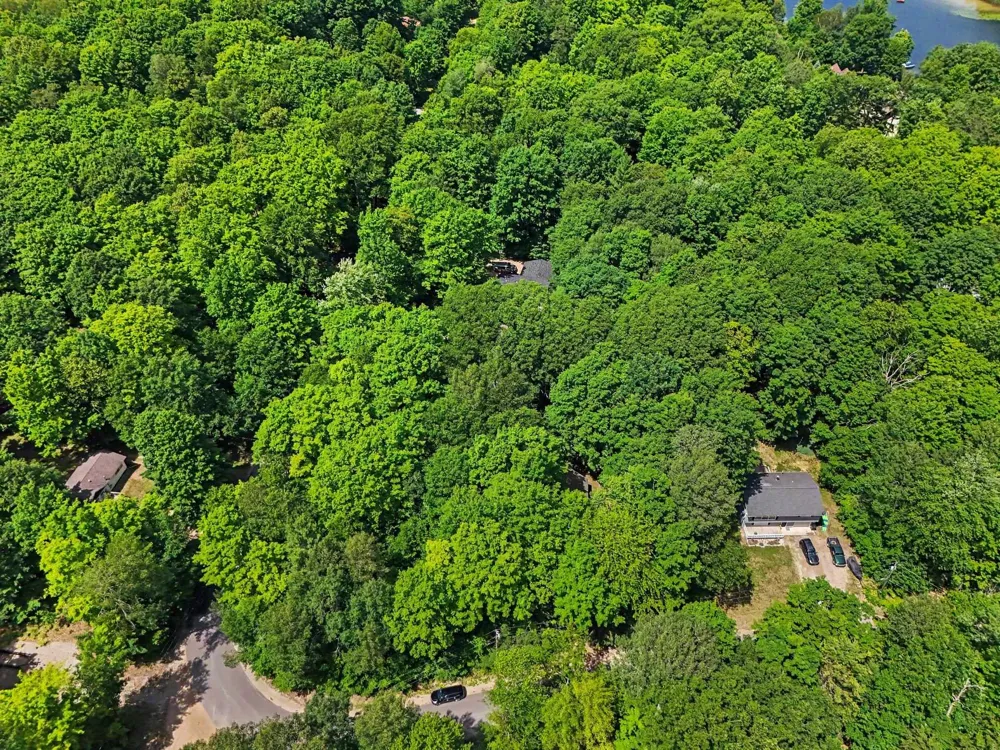 Birch View Trail Almira Township, MI 49650