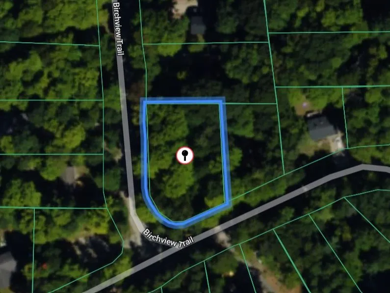 Birch View Trail Almira Township, MI 49650