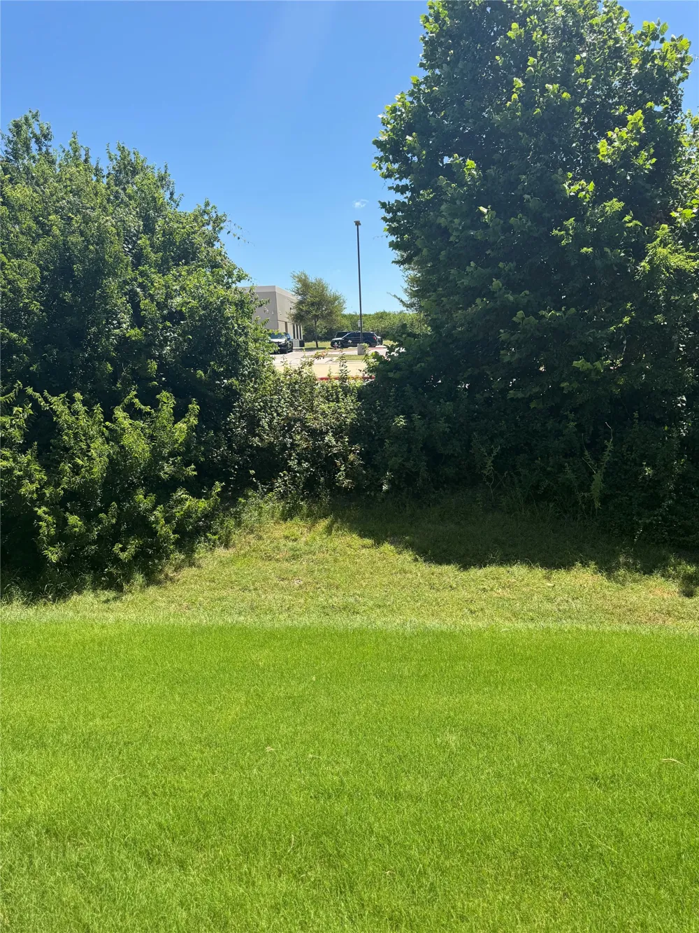 1015 Vista View Drive #901 Georgetown, TX 78626