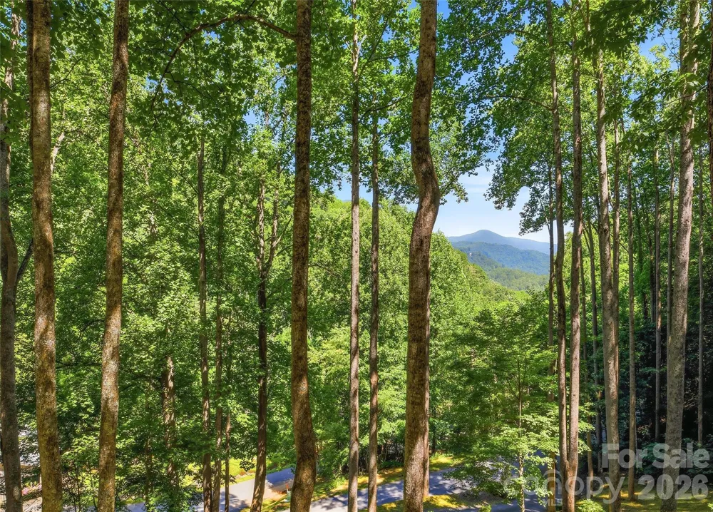 26 Tawodi Trail Maggie Valley, NC 28751