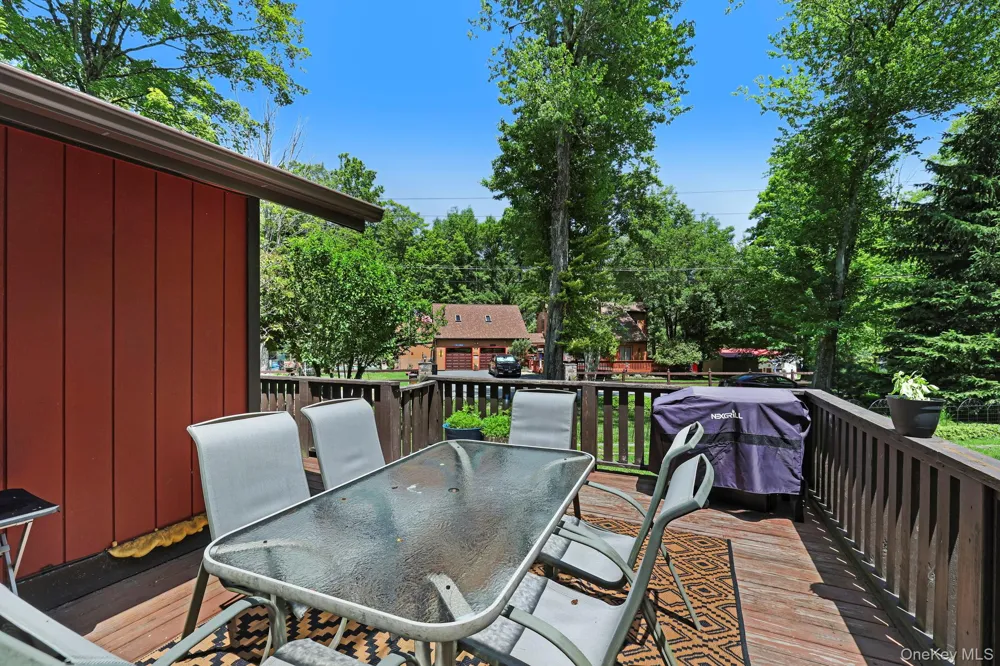 6 Berkshire Trail Bethel, NY 12720