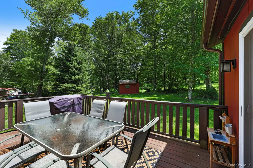 6 Berkshire Trail Bethel, NY 12720