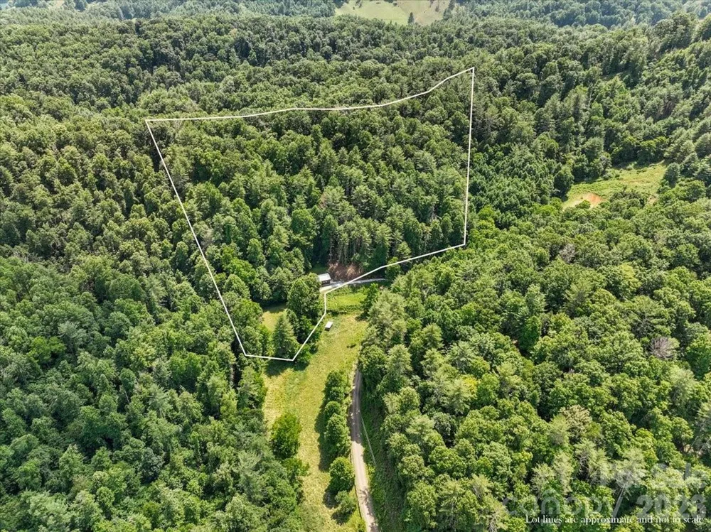 323 McCurrey Road Burnsville, NC 28714