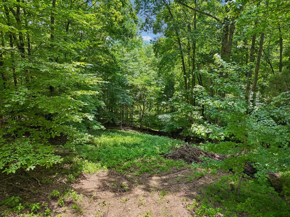 1682 Ridgeview Run Lynchburg, TN 37352