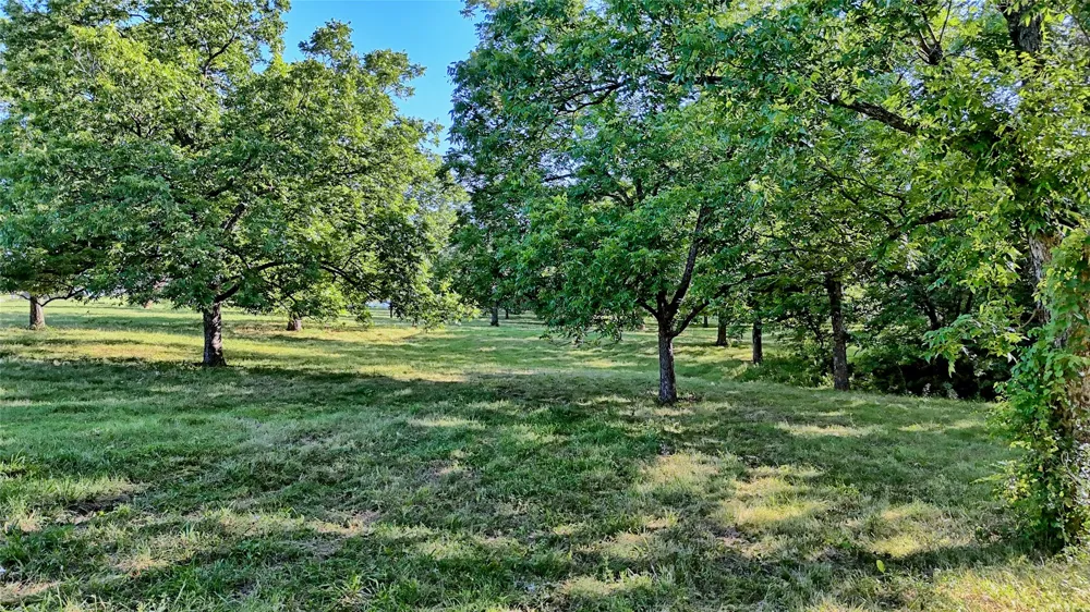 1272 County Road 131 Gainesville, TX 76240