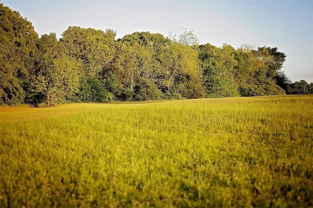 206 Mohawk Trail East Tawakoni, TX 75472