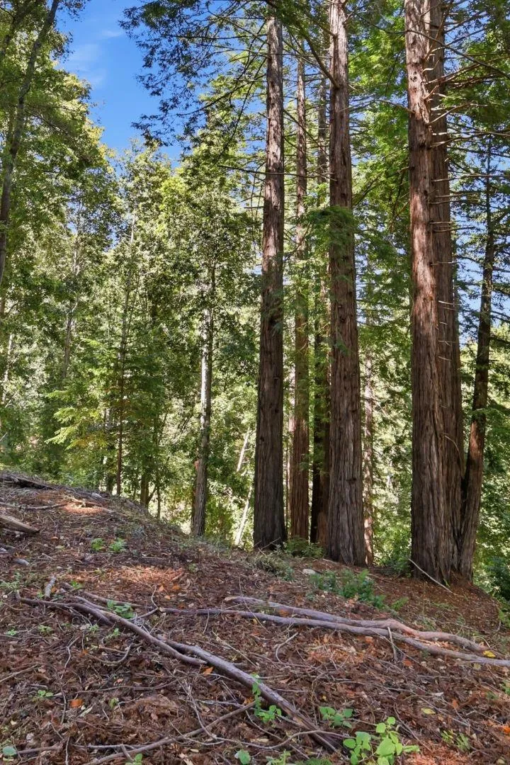 375 Blair Ranch Road Scotts Valley, CA 95066