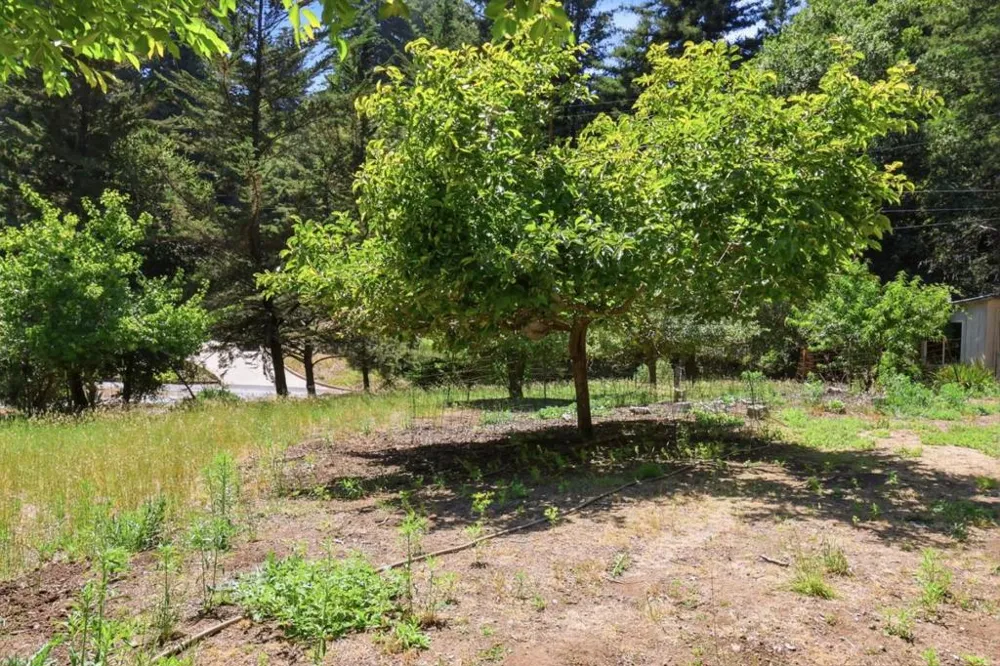 375 Blair Ranch Road Scotts Valley, CA 95066