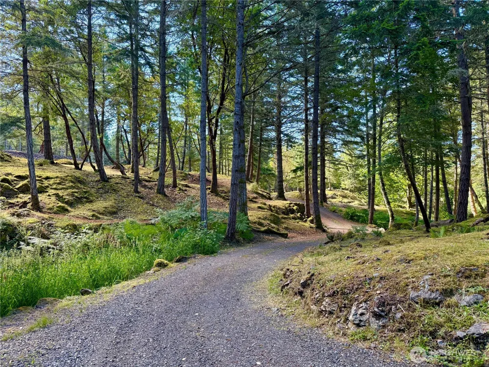 0 Kiya Way Friday Harbor, WA 98250