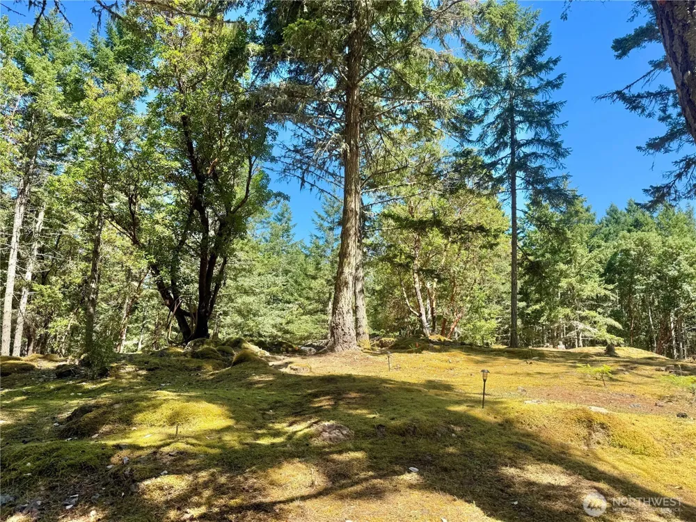 0 Kiya Way Friday Harbor, WA 98250