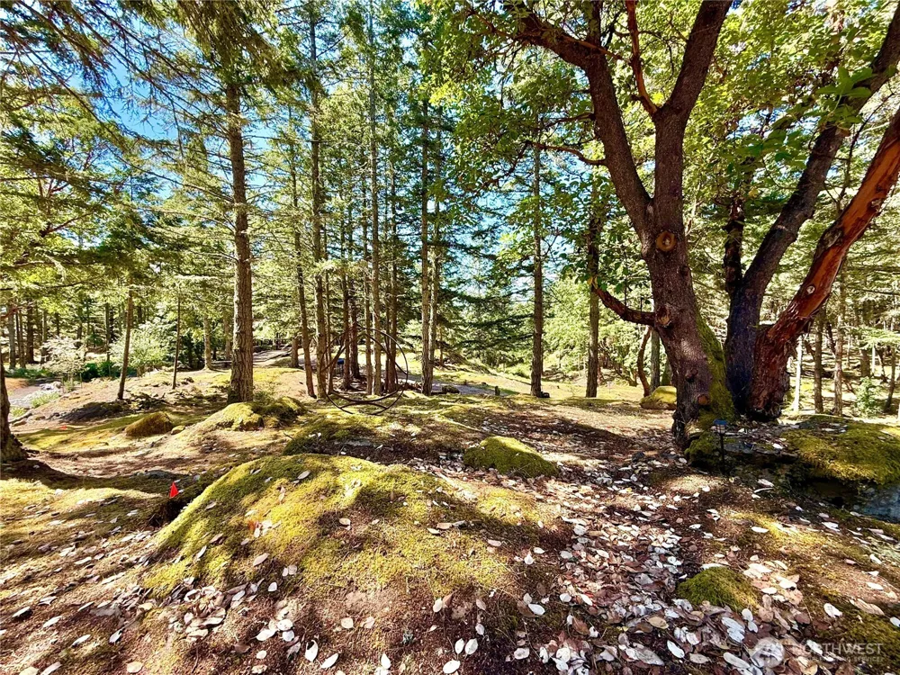 0 Kiya Way Friday Harbor, WA 98250