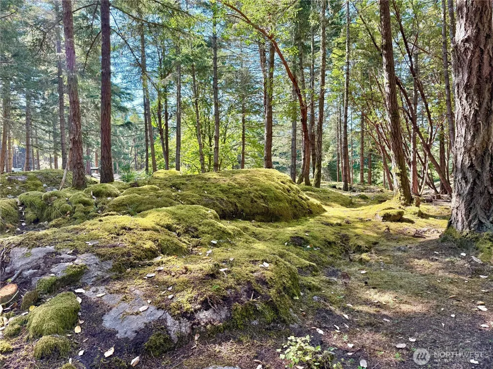0 Kiya Way Friday Harbor, WA 98250