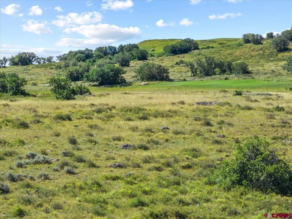 813 Cornestone Loop Montrose, CO 81403