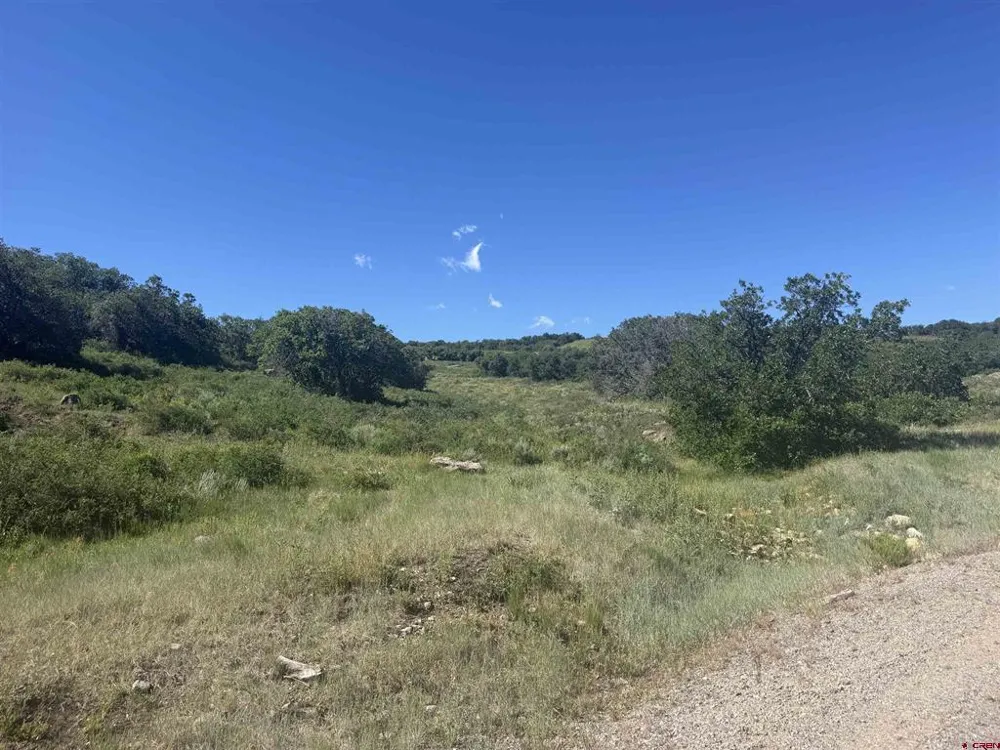813 Cornestone Loop Montrose, CO 81403