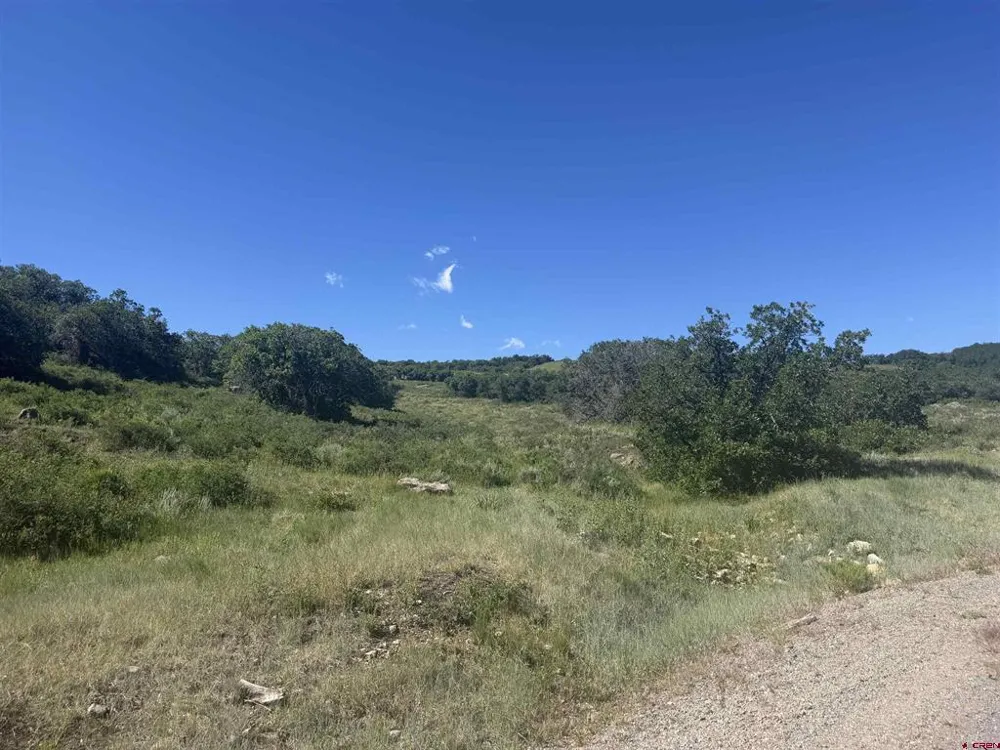 813 Cornestone Loop Montrose, CO 81403