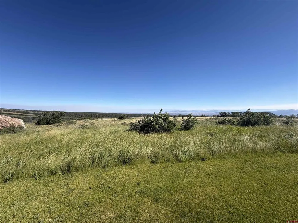 813 Cornestone Loop Montrose, CO 81403